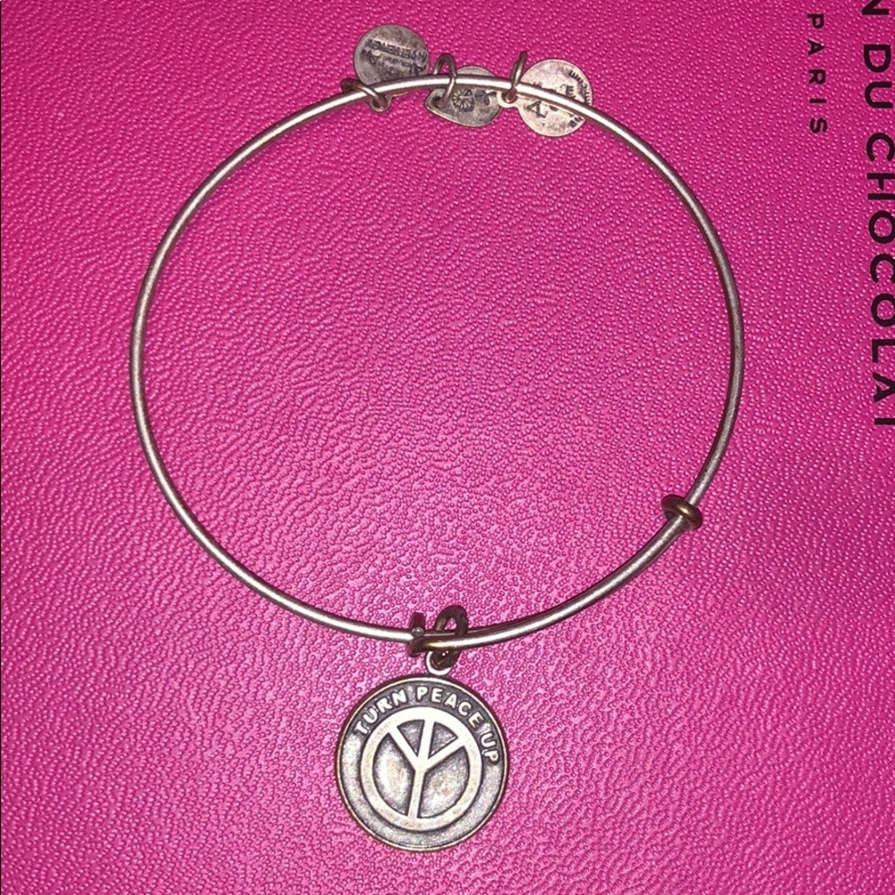 Alex and Ani Charm Bracelet